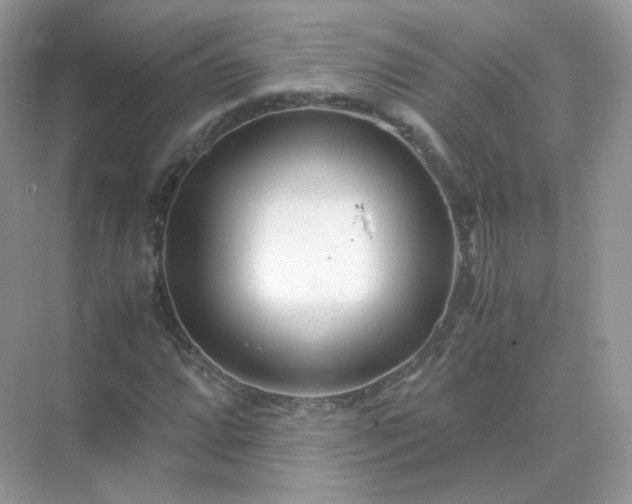 X0000071811064200607072111