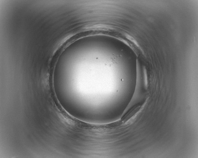 X0000071811066200607072111