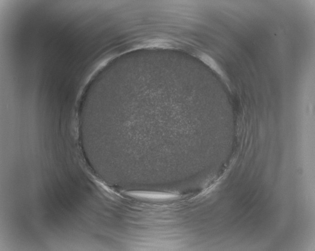 X0000071811067200607072111