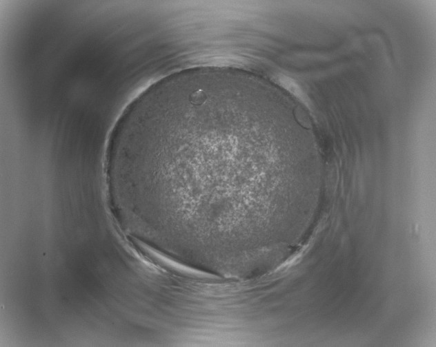 X0000071811071200607072111