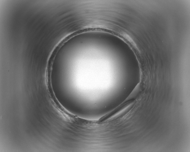 X0000071811076200607072111