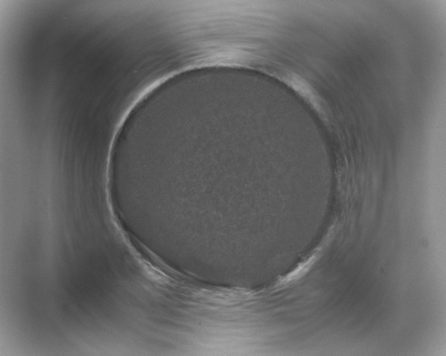 X0000071811077200607072111