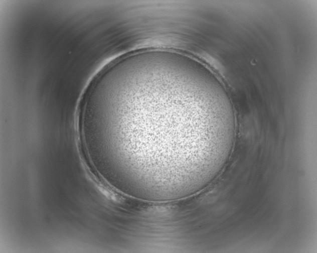 X0000071811078200607072111