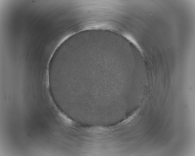 X0000071811079200607072111