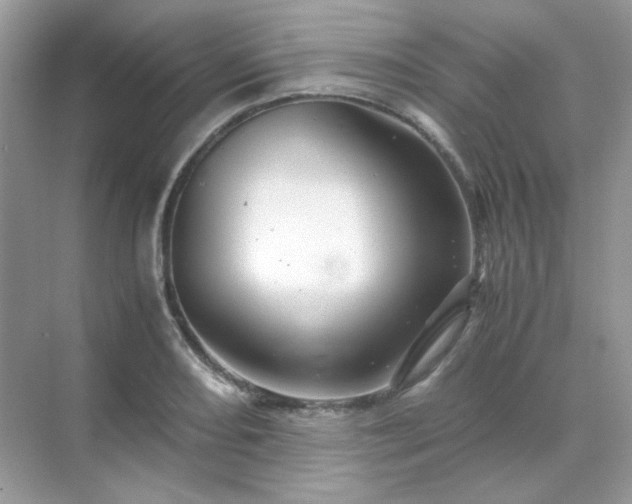 X0000071811082200607072111