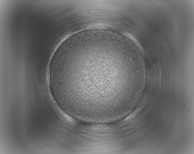 X0000071811083200607072111