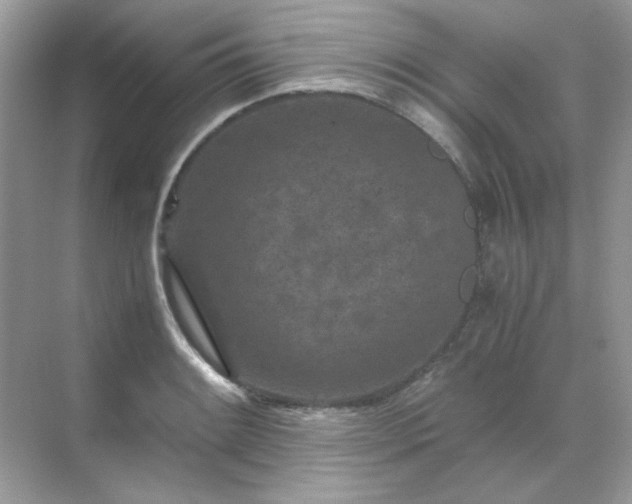 X0000071811084200607072111