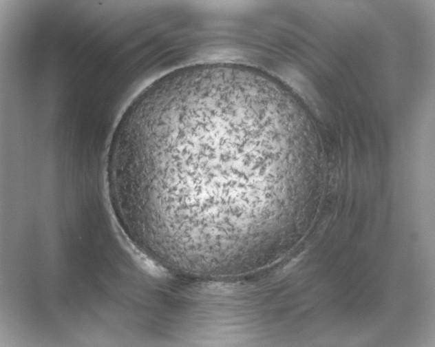 X0000071811086200607072111