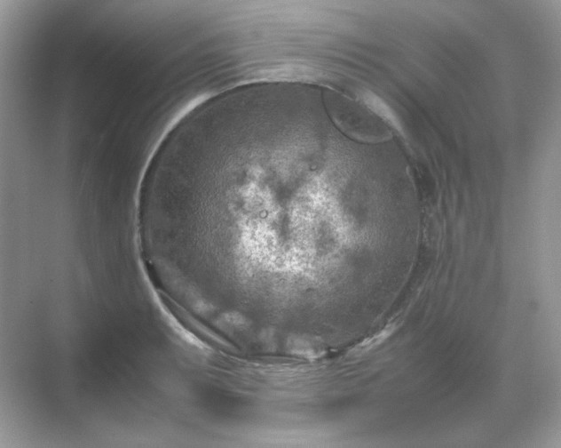 X0000071811087200607072111