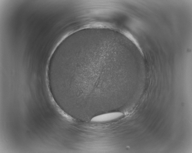 X0000071811091200607072111