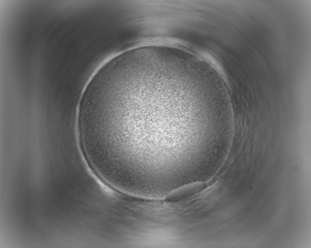 X0000071811103200607072111