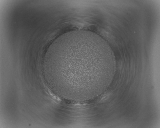 X0000071811105200607072110