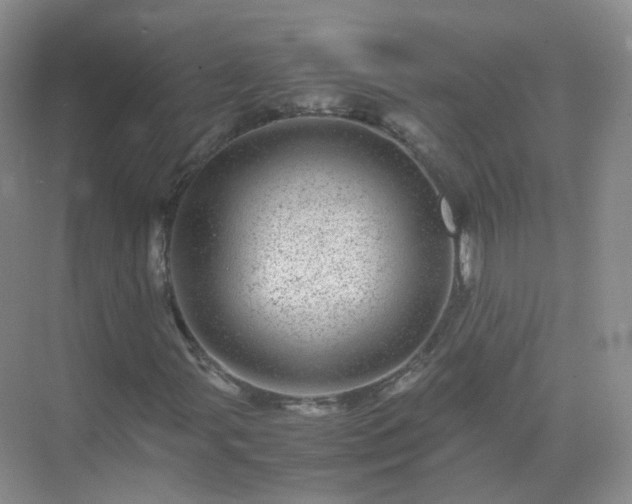 X0000071811107200607072110