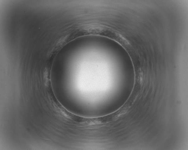 X0000071811108200607072110