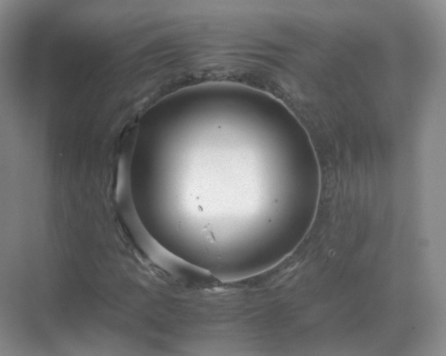 X0000071811109200607072110