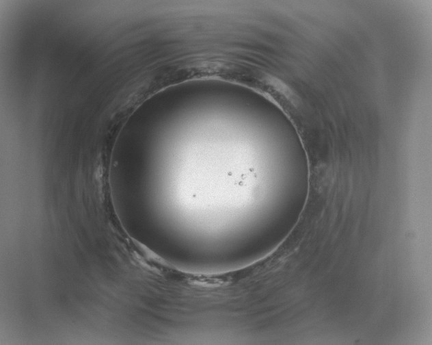 X0000071811111200607072110