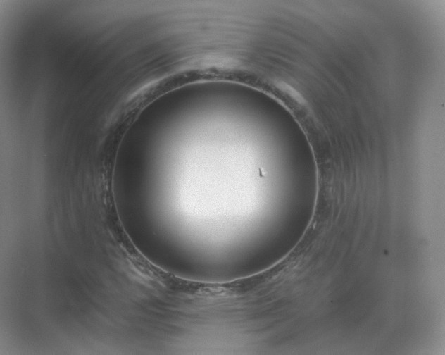 X0000071811112200607072110