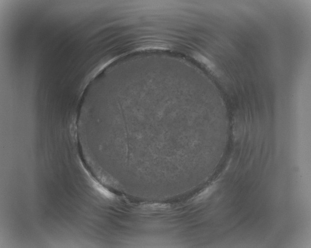 X0000071811113200607072110