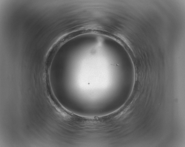 X0000071811115200607072110