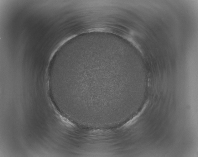 X0000071811117200607072110