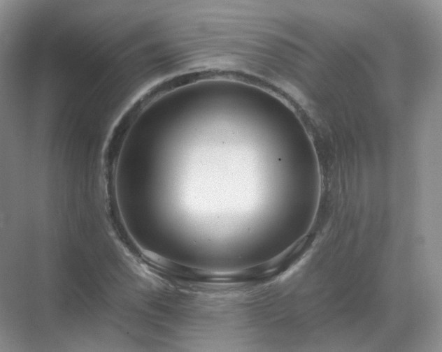 X0000071811118200607072110