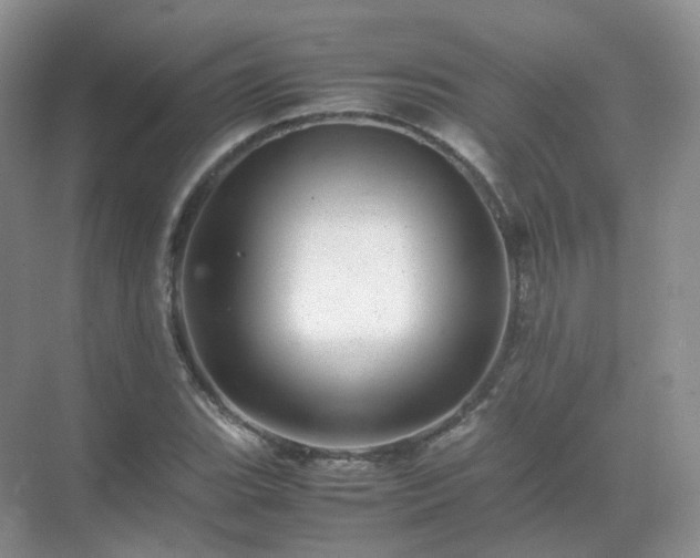 X0000071811119200607072110