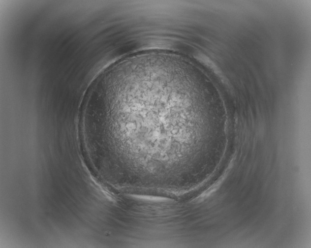 X0000071811121200607072110