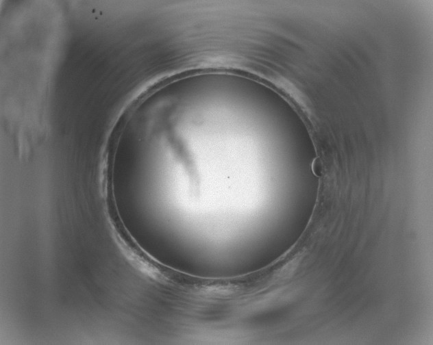 X0000071811126200607072110