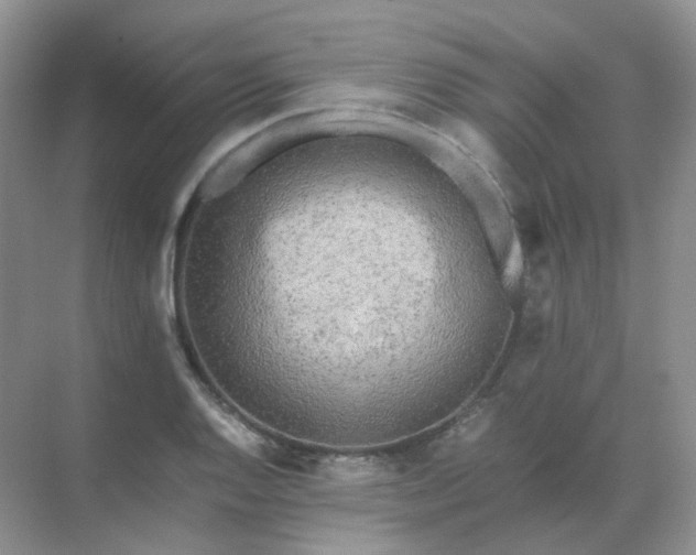 X0000071811128200607072110