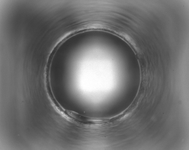 X0000071811134200607072110