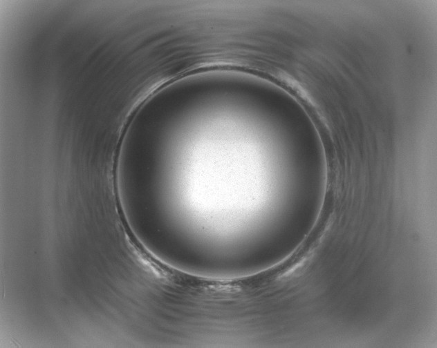 X0000071811137200607072110