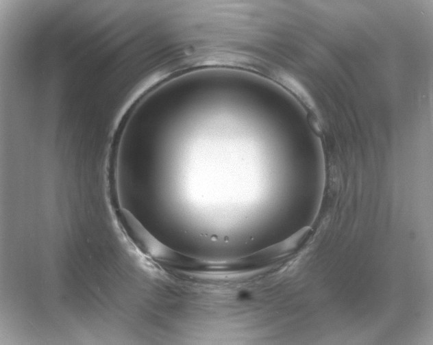 X0000071811138200607072110