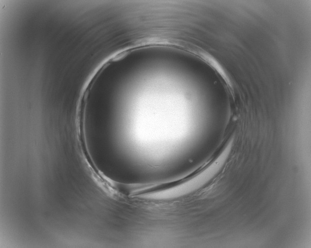 X0000071811148200607072111