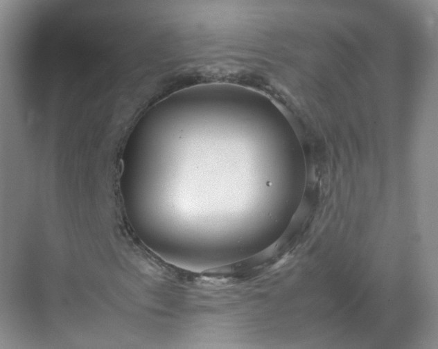 X0000071811153200607072110