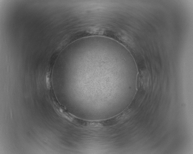 X0000071811154200607072110