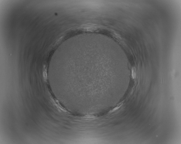 X0000071811155200607072110