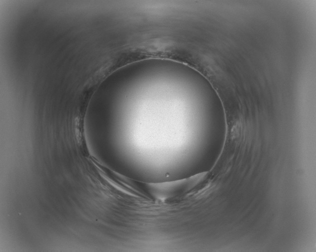 X0000071811156200607072110