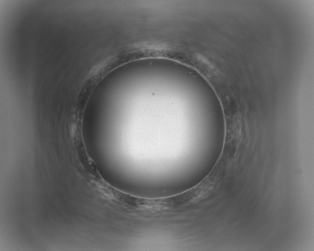 X0000071811157200607072110