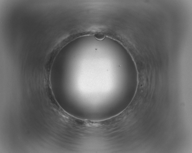 X0000071811158200607072110