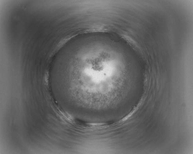 X0000071811161200607072110