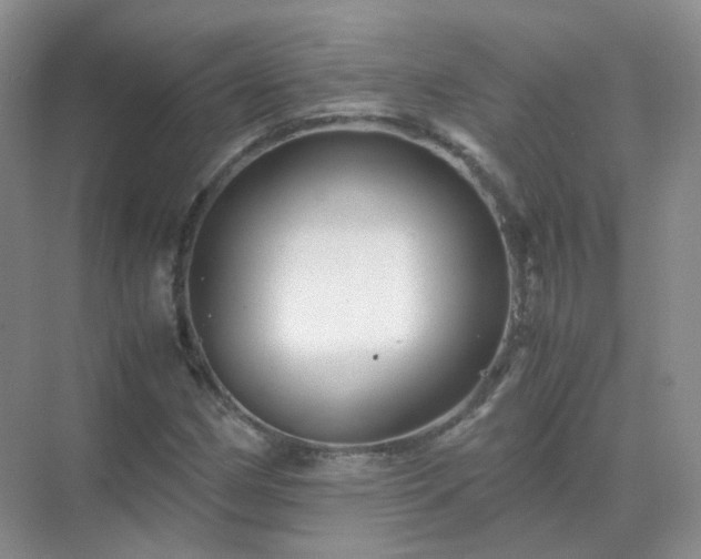 X0000071811162200607072110