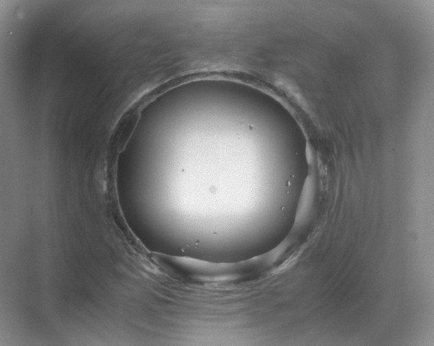 X0000071811165200607072110