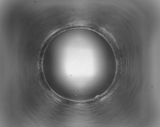 X0000071811166200607072110