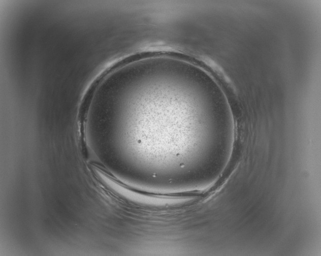 X0000071811167200607072110