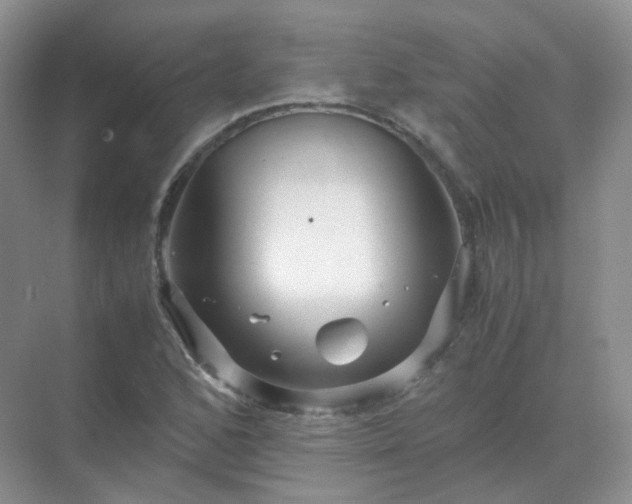 X0000071811168200607072110