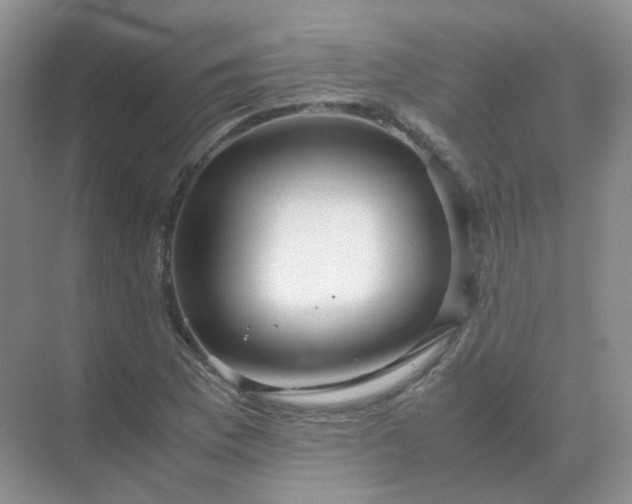 X0000071811169200607072110