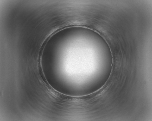 X0000071811170200607072110