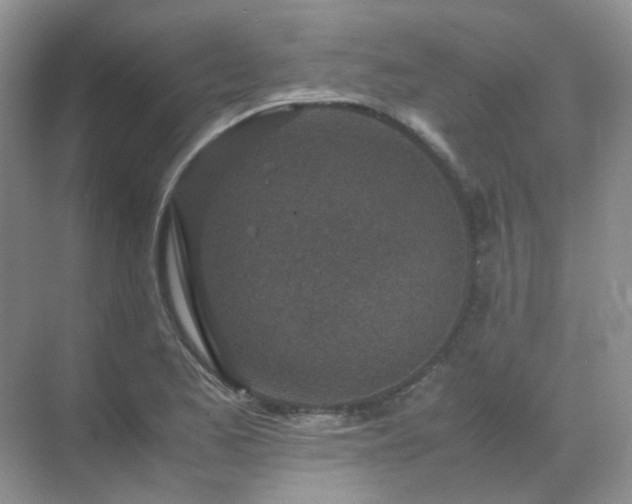 X0000071811173200607072110