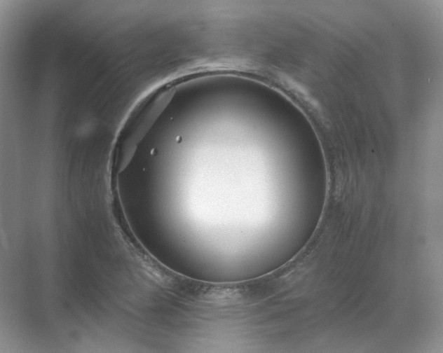 X0000071811174200607072110