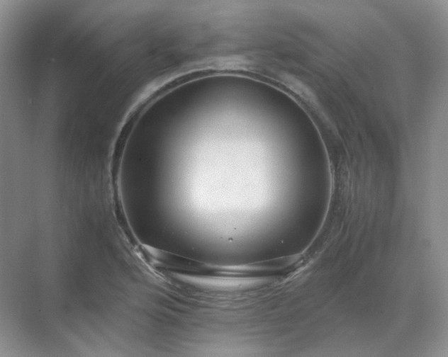 X0000071811176200607072110